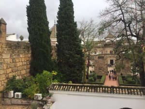 foto-2-patio-del-leon